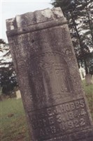 Elizabeth Jane Smith Hobbs