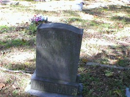 Elizabeth Jane Webb Applegate