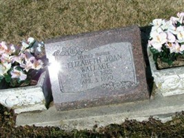 Elizabeth Joan Wallace