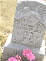 Elizabeth Joyce Heiman