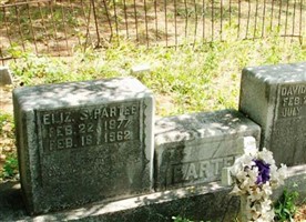 Elizabeth J. S Partee Elizabeth J. S Partee