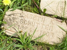 Elizabeth K Schutter