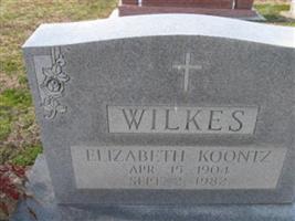 Elizabeth Koontz Wilkes