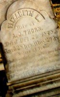 Elizabeth L Thorn Elizabeth L Thorn