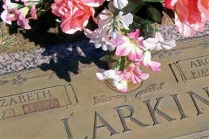 Elizabeth Larkin Elizabeth Larkin
