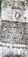 Elizabeth Lee Scribner Elizabeth Lee Scribner