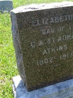 Elizabeth "Lizzie" Atkins