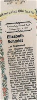 Elizabeth G. "Lizzie" Nardin Schmidt