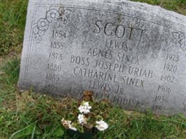 Elizabeth Louisa Scott Elizabeth Louisa Scott