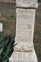 Elizabeth Lowell Creason