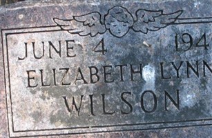 Elizabeth Lynn Wilson Elizabeth Lynn Wilson