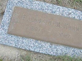 Elizabeth M. Barfuss Hahn Elizabeth M. Barfuss Hahn