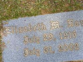 Elizabeth M Farah