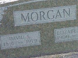 Elizabeth M Morgan