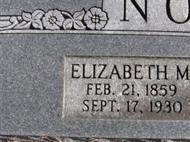 Elizabeth M. Nowlin