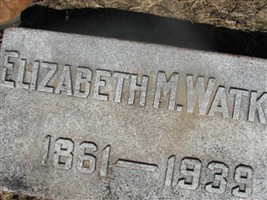 Elizabeth M. Watkins