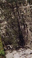 Elizabeth Mary Stephenson