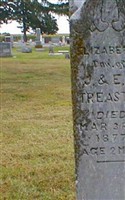 Elizabeth Matilda Treaster Elizabeth Matilda Treaster