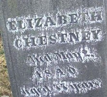 Elizabeth McNutt Chestney