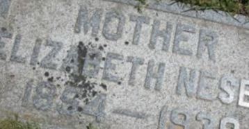 Elizabeth Nesbit