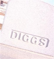 Elizabeth Nichols Diggs