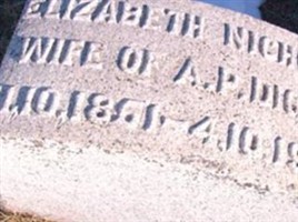 Elizabeth Nichols Diggs