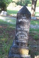 Elizabeth P Dole