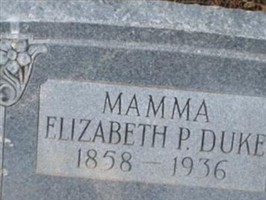 Elizabeth P Duke