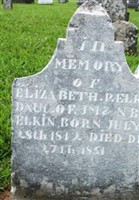 Elizabeth P. Elkin Elizabeth P. Elkin
