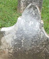 Elizabeth P. Elkin Elizabeth P. Elkin