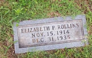 Elizabeth P Rollins