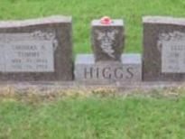 Elizabeth Peevey Higgs