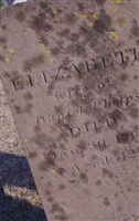 Elizabeth Pelton Phelps