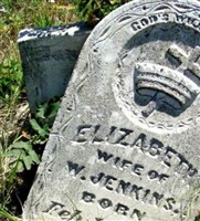 Elizabeth Permenter Jenkins Elizabeth Permenter Jenkins
