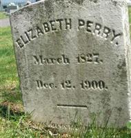 Elizabeth Perry