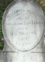 Elizabeth Perry Hawkins (1897217.jpg)