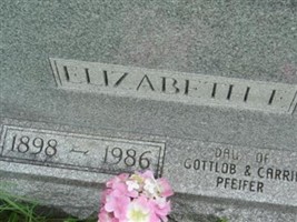 Elizabeth Pfeifer Swartz