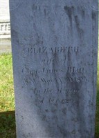 Elizabeth Platt