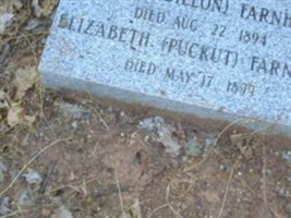 Elizabeth Puckut Farnham Elizabeth Puckut Farnham