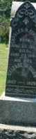 Elizabeth Quinn Ferrell