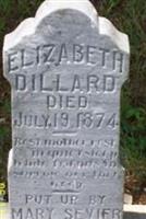 Elizabeth Reid Dillard