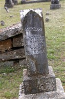 Elizabeth Salmon Elizabeth Salmon