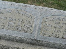 Elizabeth Saul Slonecker Elizabeth Saul Slonecker