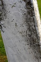 Elizabeth Sheets