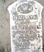 Elizabeth Skinner Evans/Evans