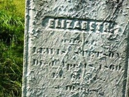 Elizabeth Stetson Elizabeth Stetson