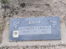 Elizabeth T Charles