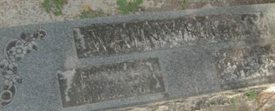 Elizabeth T Wainwright Elizabeth T Wainwright