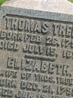 Elizabeth Trees