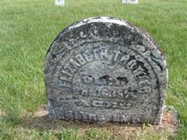 Elizabeth Trotter Elizabeth Trotter